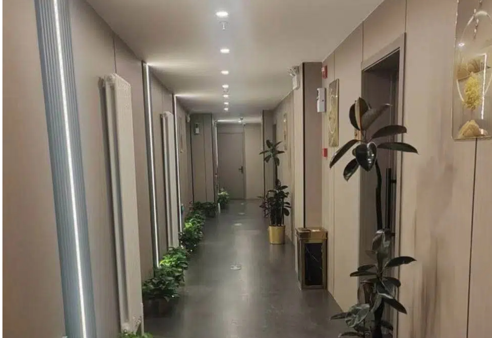 公共区域展示区